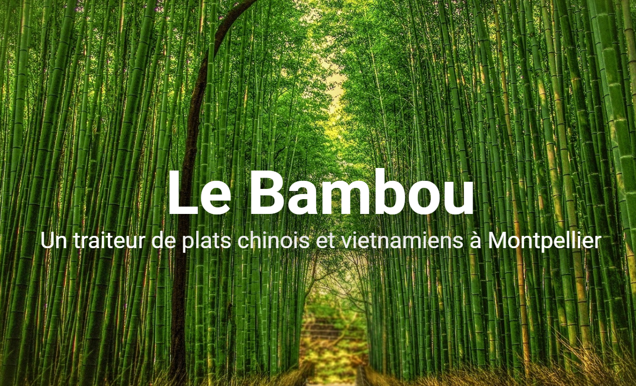 bambou.nguyenantoine.com screenshot
